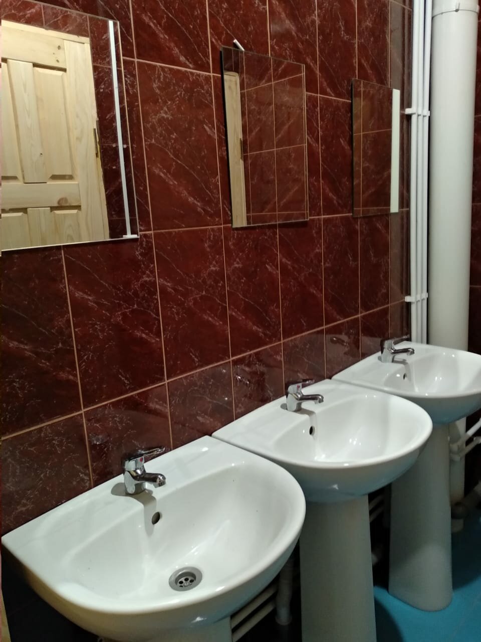 Гостиница Вежливый Лось на Ботаническом саду Москва-95