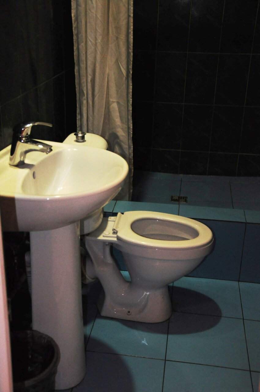 Гостиница Вежливый Лось на Ботаническом саду Москва-25