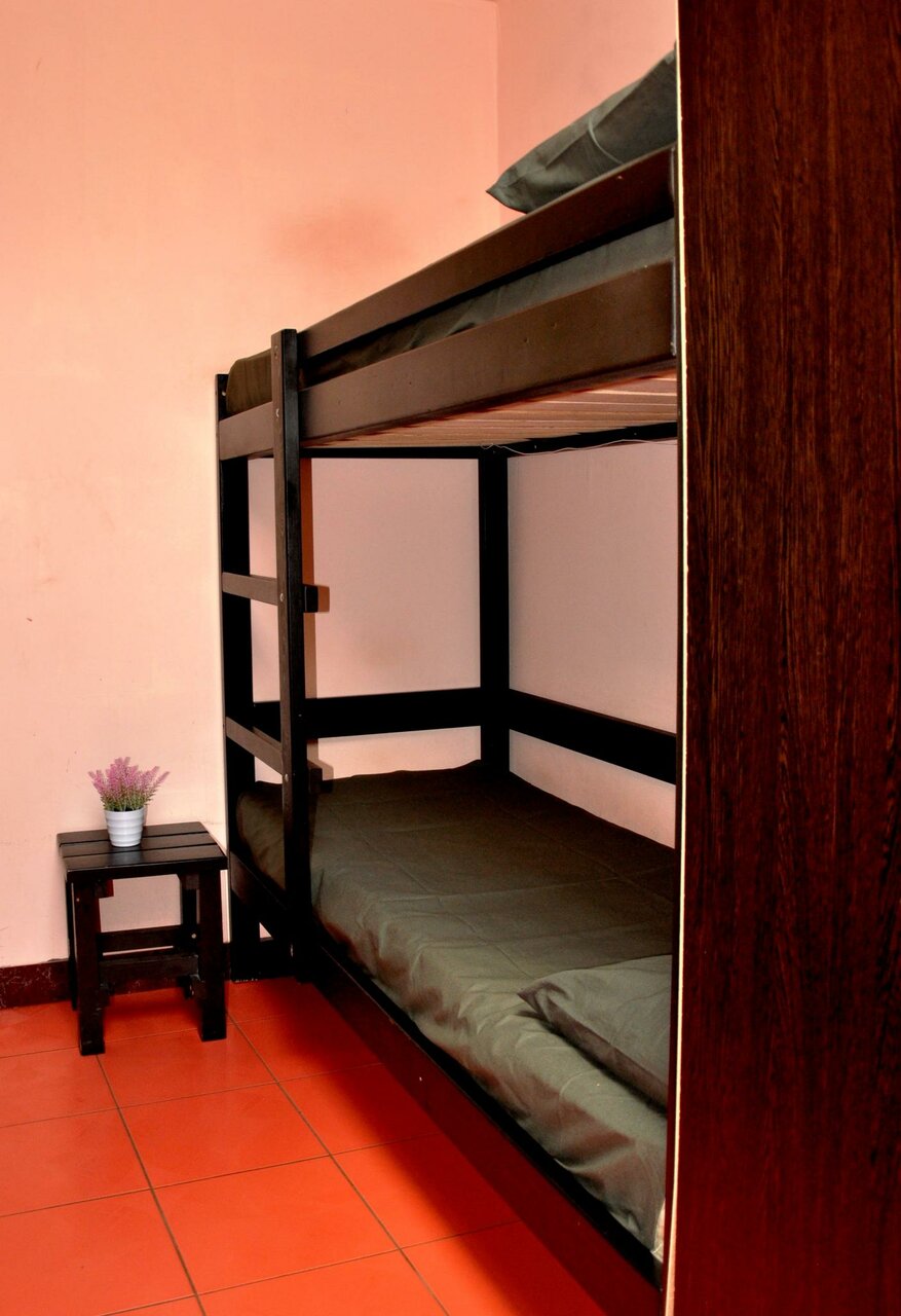 Гостиница Вежливый Лось на Ботаническом саду Москва-56