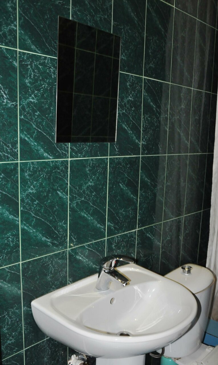 Гостиница Вежливый Лось на Ботаническом саду Москва-47