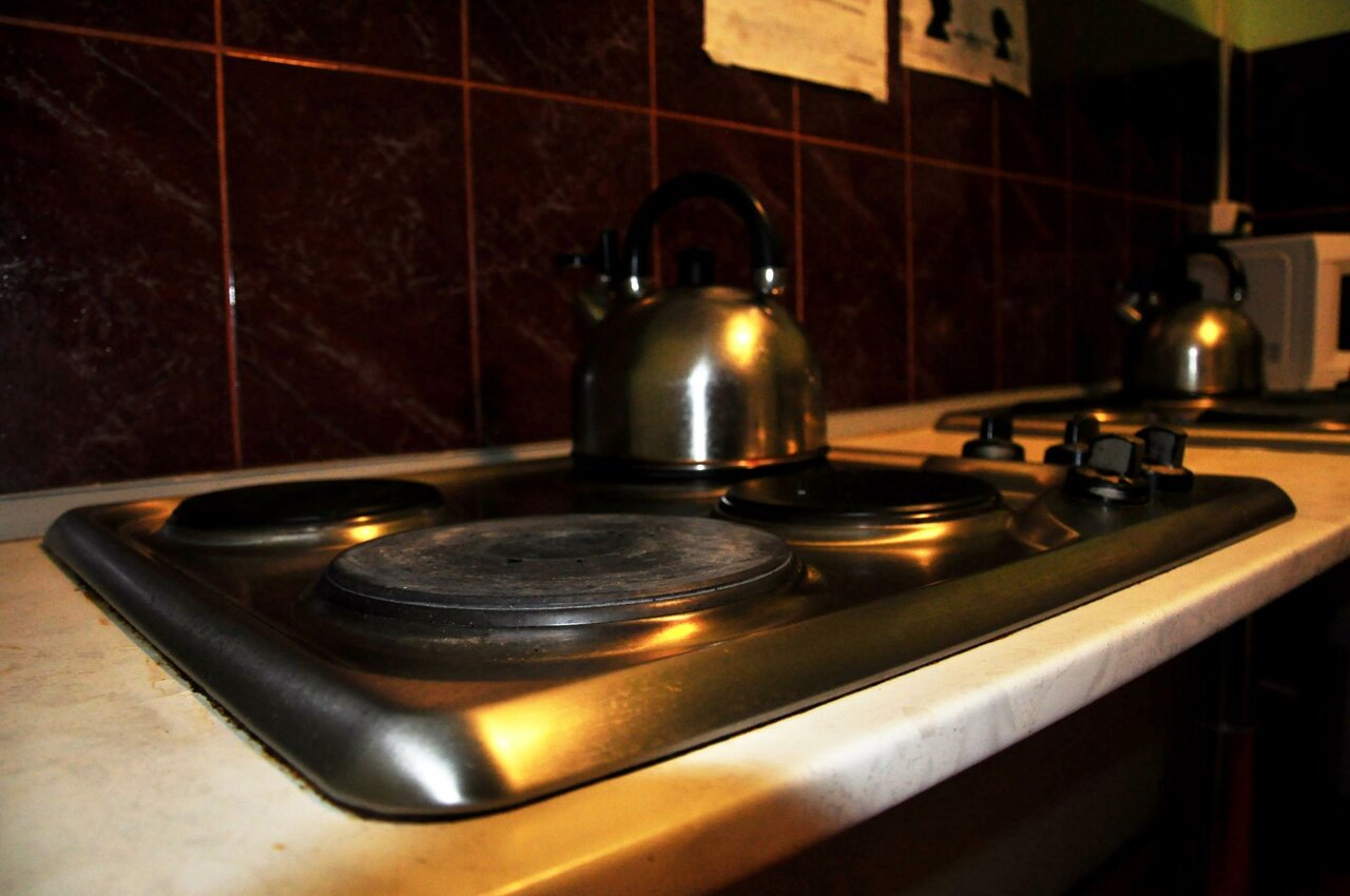 Гостиница Вежливый Лось на Ботаническом саду Москва-23