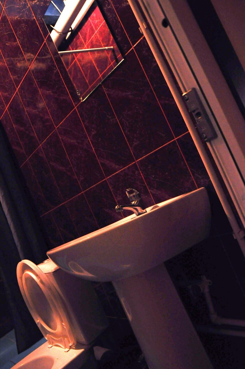 Гостиница Вежливый Лось на Ботаническом саду Москва-39