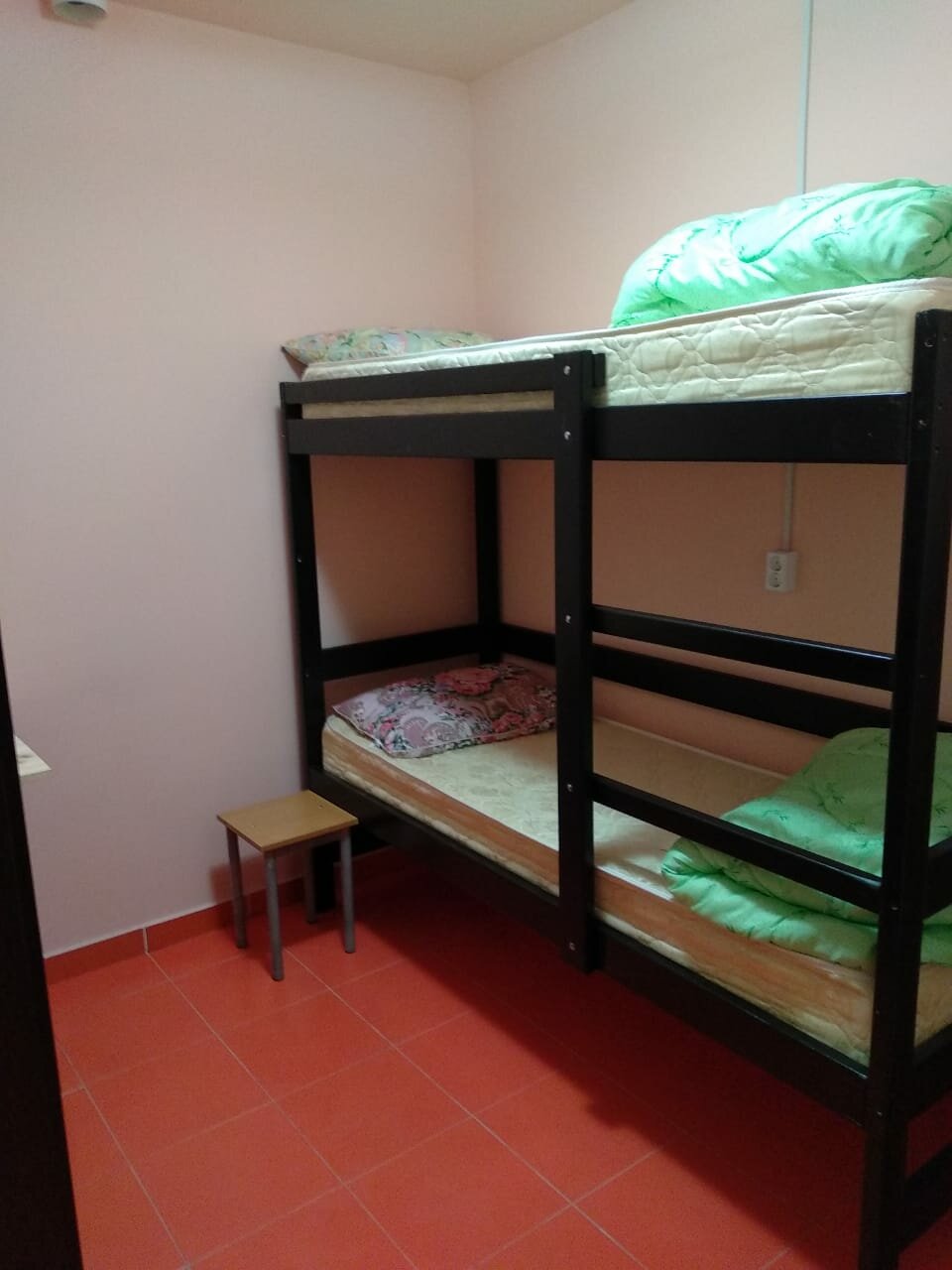 Гостиница Вежливый Лось на Ботаническом саду Москва-103