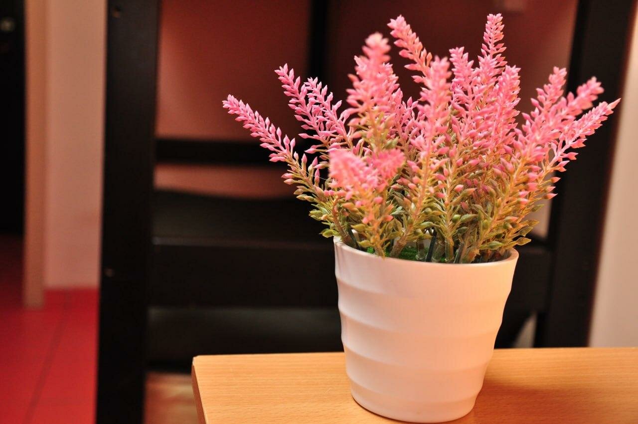 Гостиница Вежливый Лось на Ботаническом саду Москва-13