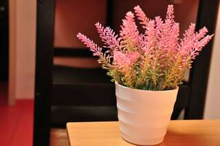 Гостиница Вежливый Лось на Ботаническом саду Москва Капсула-3