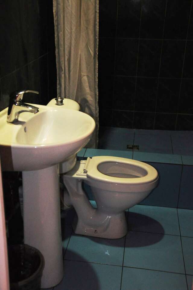 Гостиница Вежливый Лось на Ботаническом саду Москва-24