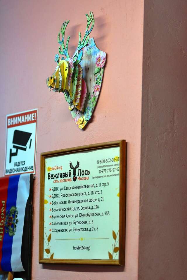 Гостиница Вежливый Лось на Ботаническом саду Москва-4