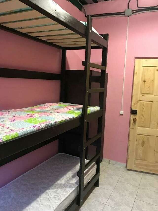 Гостиница Вежливый Лось на Ботаническом саду Москва-62