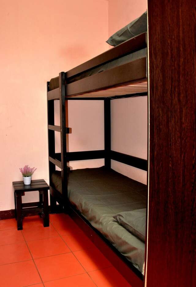 Гостиница Вежливый Лось на Ботаническом саду Москва-55